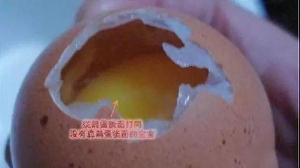 一招教你識別真假雞蛋，別再被坑了！