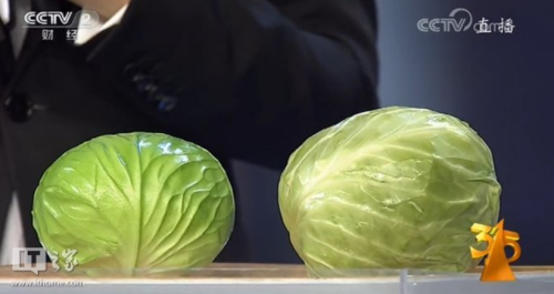 央視315曝光：季節(jié)謠？是否可信？ 