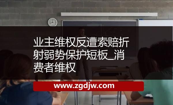 業(yè)主維權(quán)反遭索賠折射弱勢保護短板_消費者維權(quán) 
