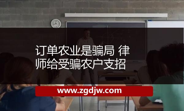 訂單農(nóng)業(yè)是騙局 律師給受騙農(nóng)戶支招 