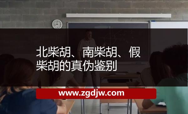 北柴胡、南柴胡、假柴胡的真?zhèn)舞b別 