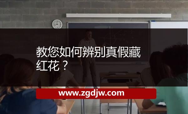 教您如何辨別真假藏紅花？ 