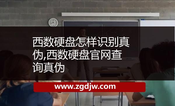 西數(shù)硬盤怎樣識(shí)別真?zhèn)?西數(shù)硬盤官網(wǎng)查詢真?zhèn)?